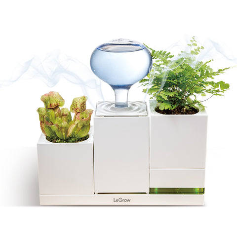 LeGrow Humidifier