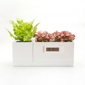 LeGrow Plant Clock