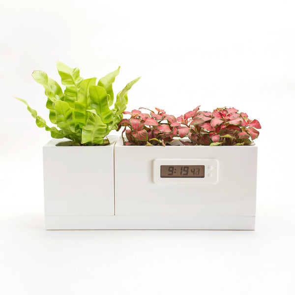 LeGrow Plant Clock